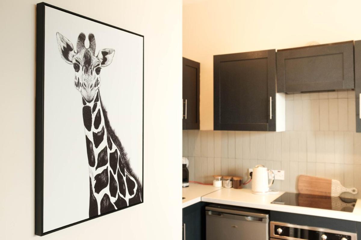 Antrim Road Apartments Belfast - Hizvo