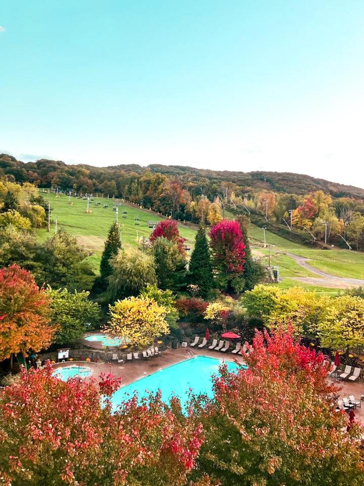 Cozy Mountain View Condo - Housity