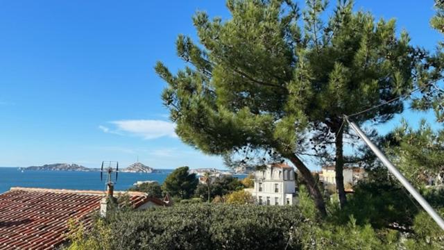 La LUNA of MARSEILLE - VILLA D'ARCHITECTE B&B - Housity