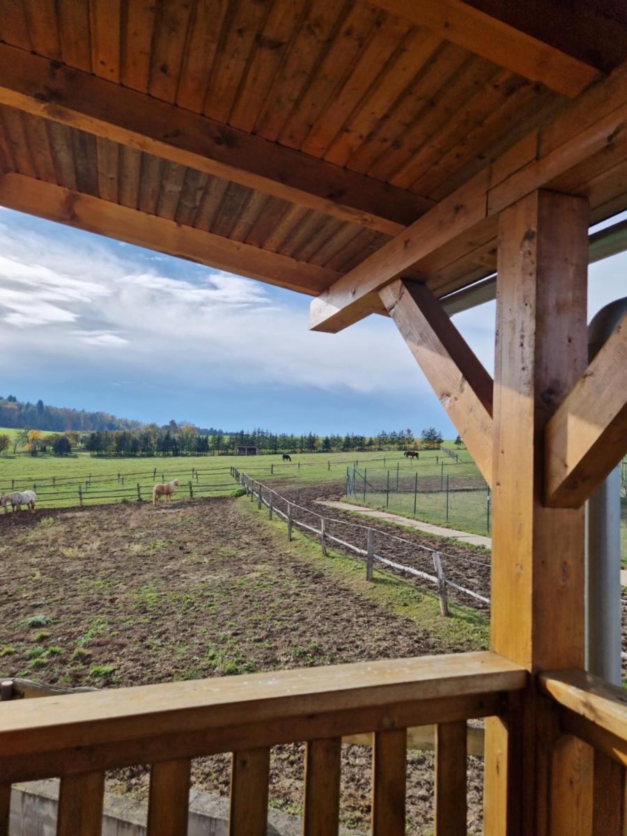Pension Country Relax - Housity
