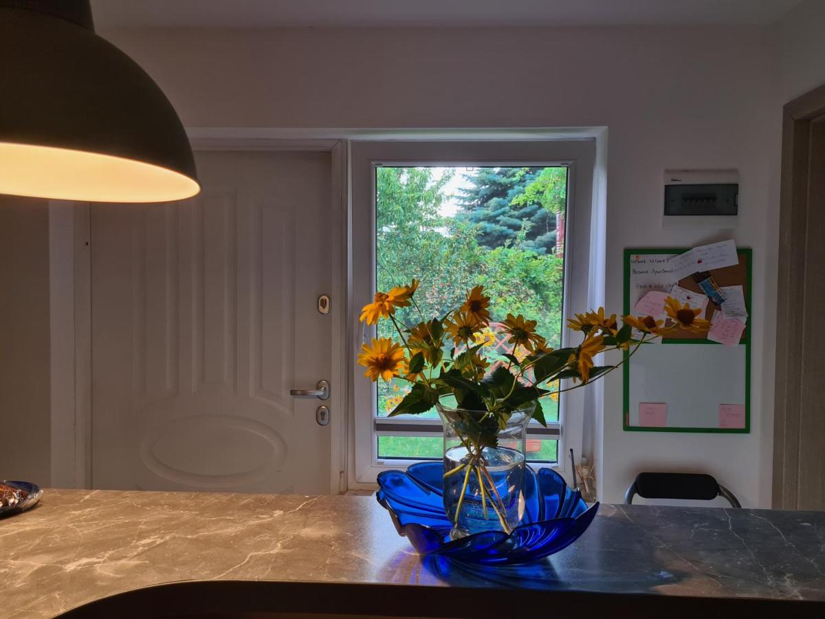 Apartament Bema - Housity