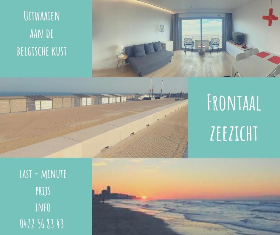 Studio zwembad met frontaal zeezicht - Housity