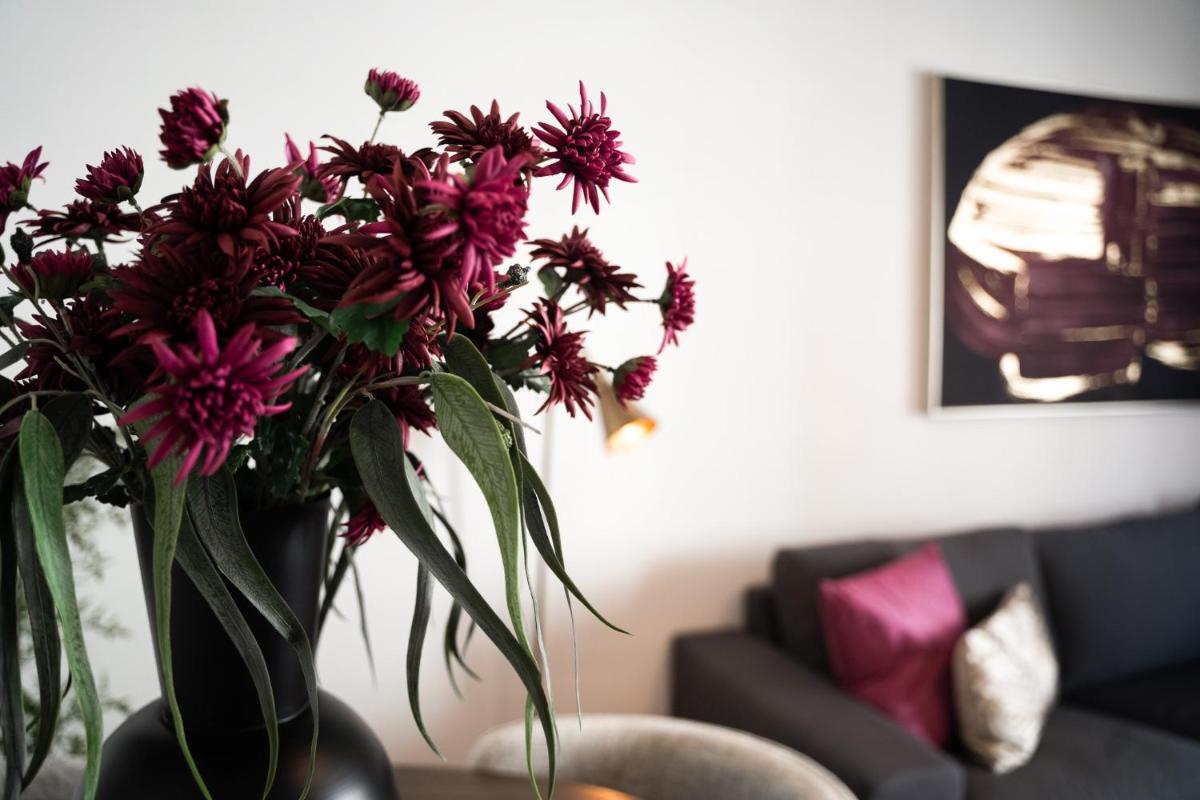 Ferienwohnungen im Stadtzentrum -JUNIK Apartments - Housity