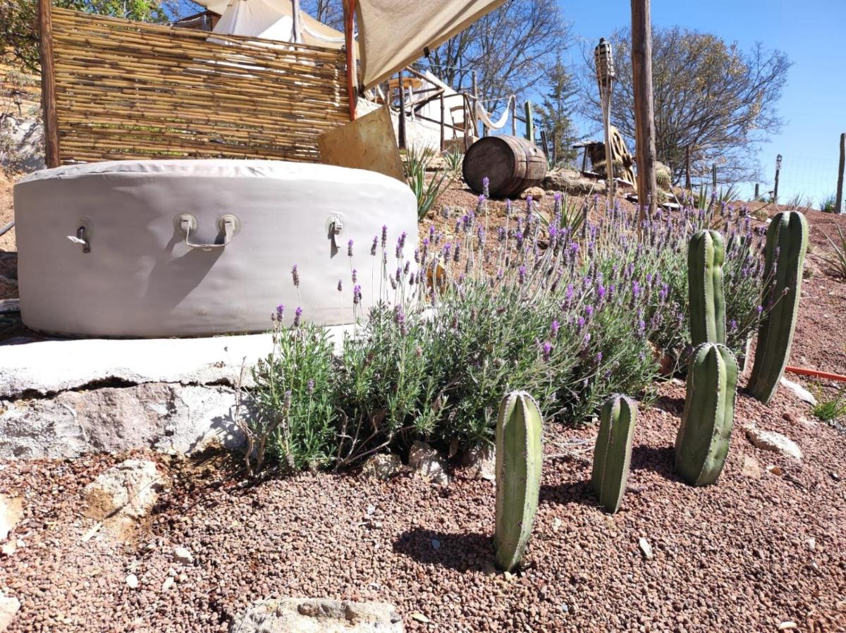 Rancho San Martin glamping - Housity