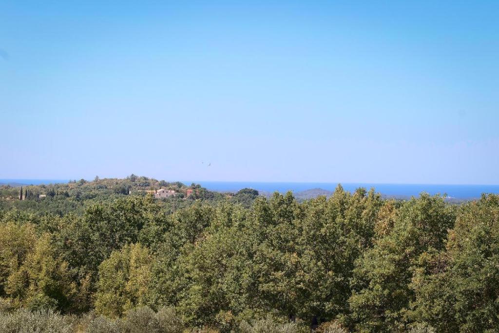 Villa Olivetta by Istrian Country Houses - Housity
