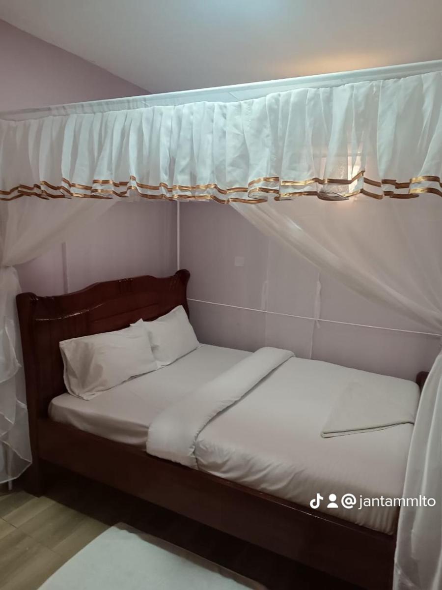 The White rock 2023 - Housity