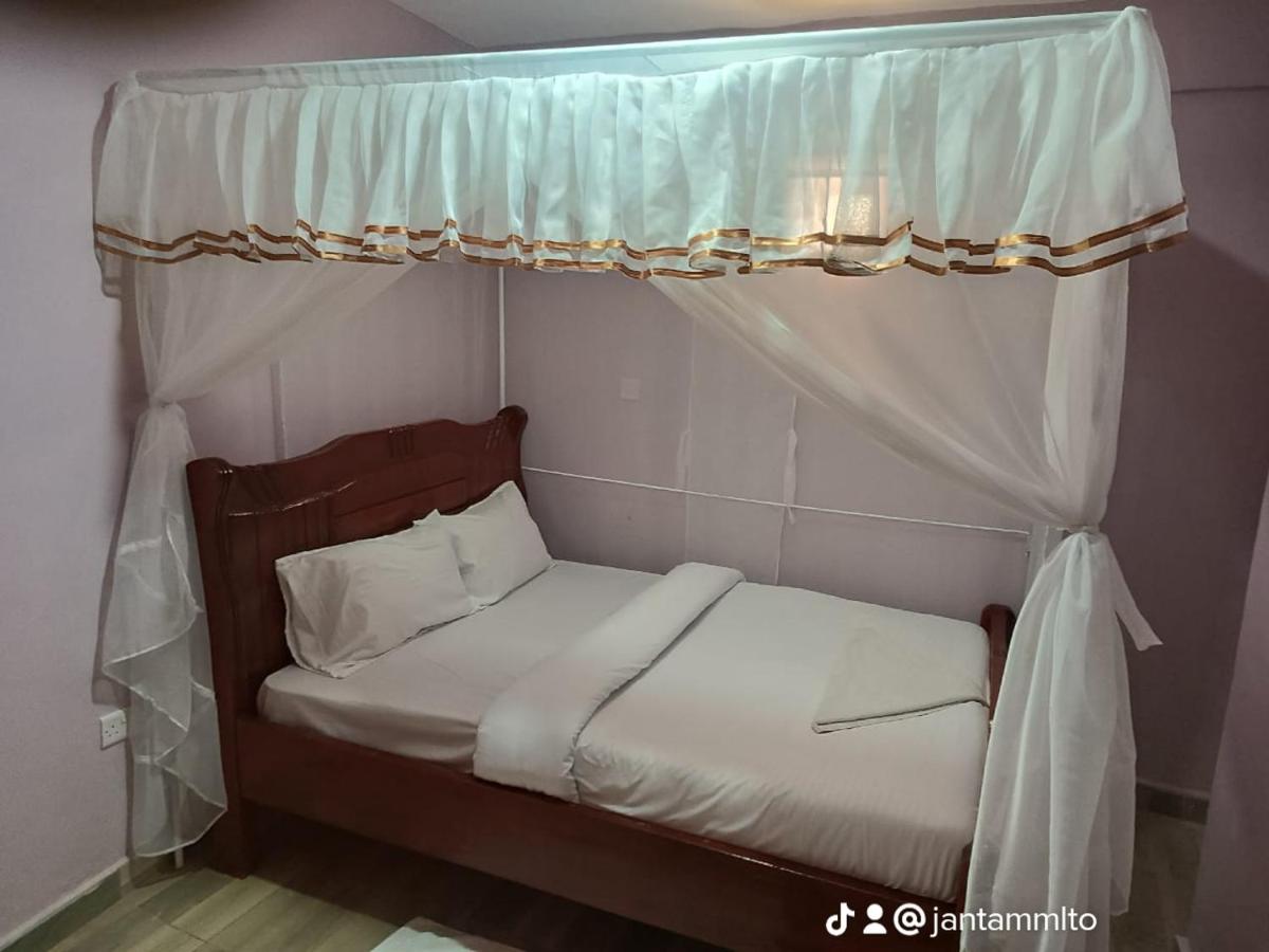 The White rock 2023 - Housity