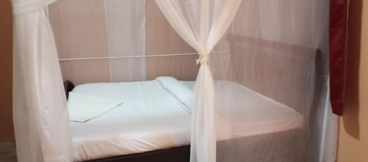 The White rock 2023 - Housity