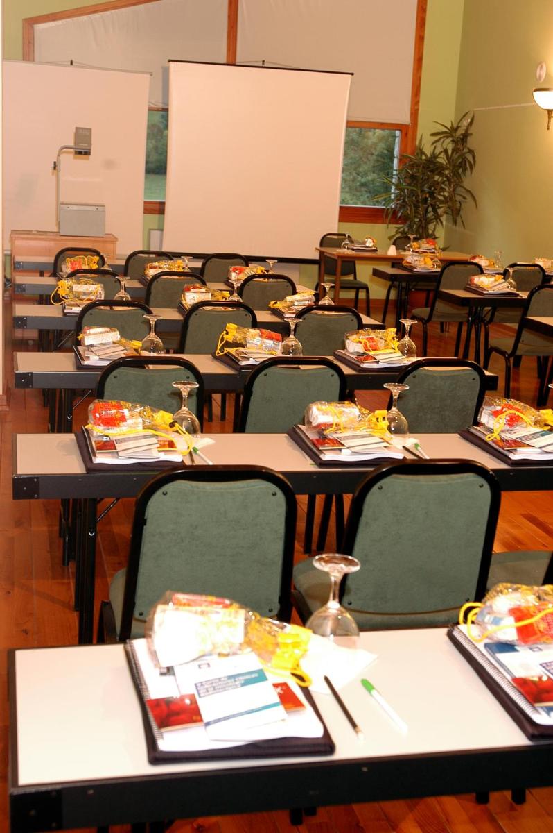 Zona business o sala de conferencias en SOMMOS Hotel Benasque Spa