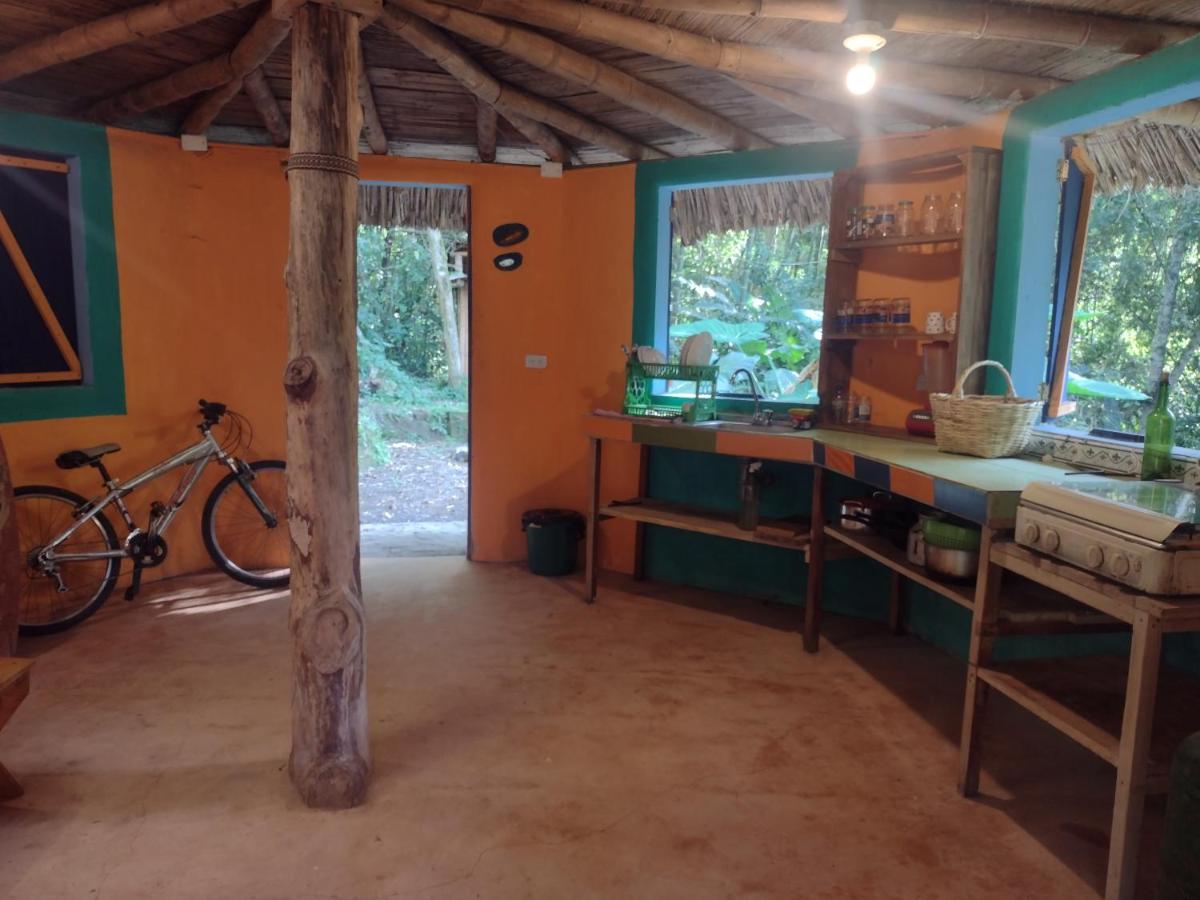 La malokita - Housity