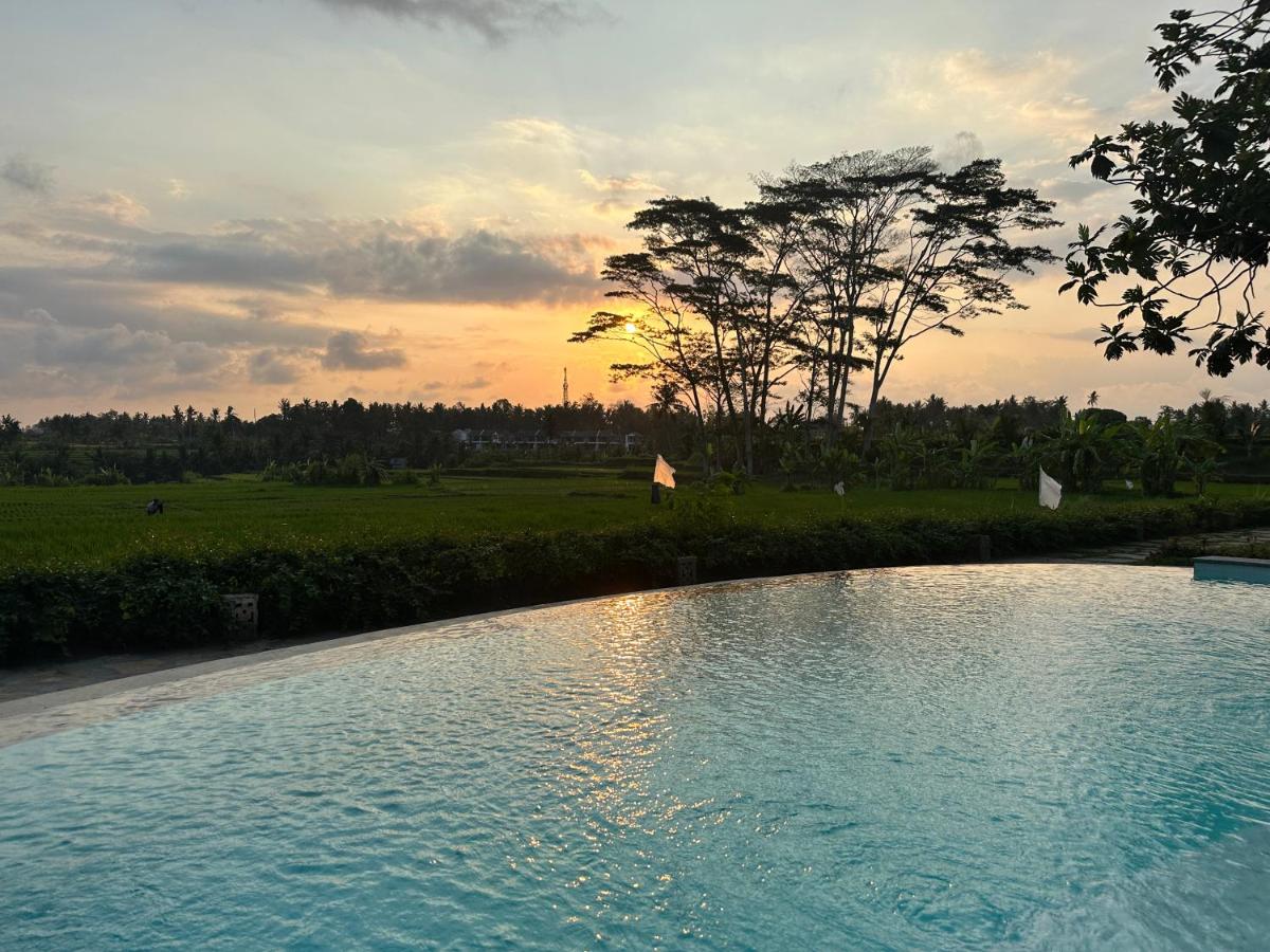 GRIYA KCB VILLA - Housity