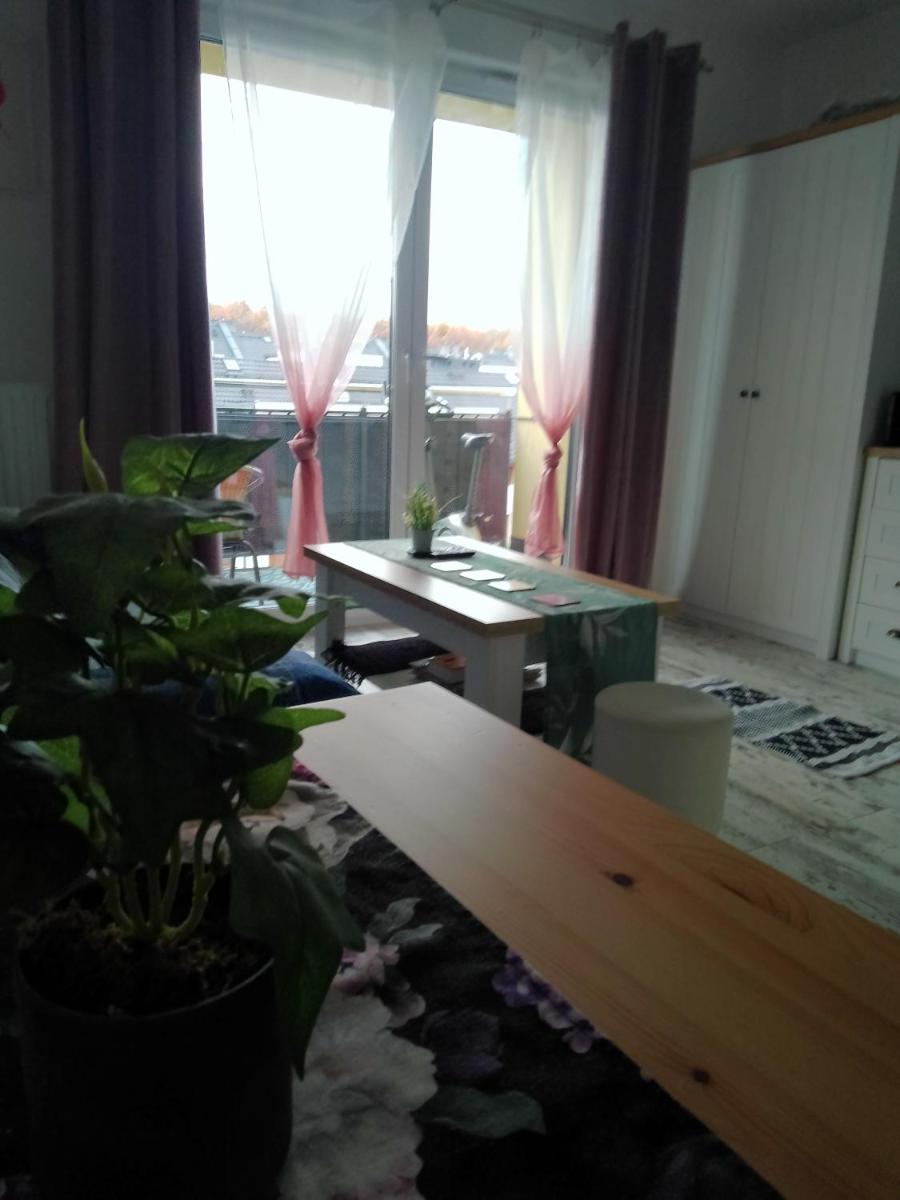 Dreapart Pruszcz gdański - Housity
