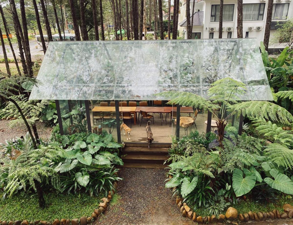 T'MĂNG ĐEENG HOMESTAY - Housity