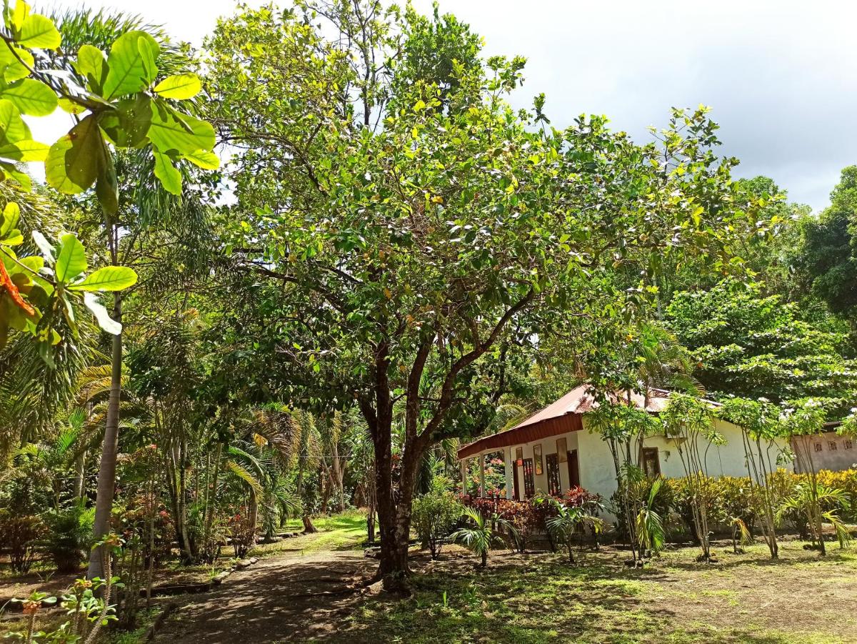 Tangkoko Jungle Homestay - Housity