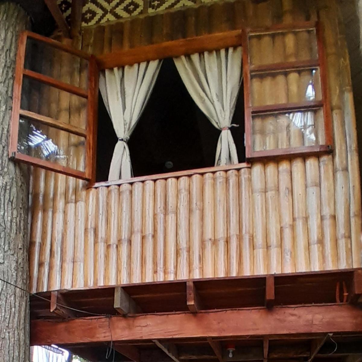 Dumaguete Treehouse - Housity