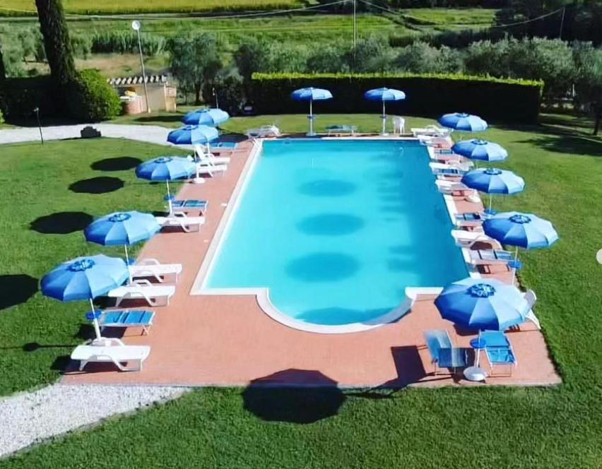 I Girasoli di Lari - Bilocale La Margherita - Housity