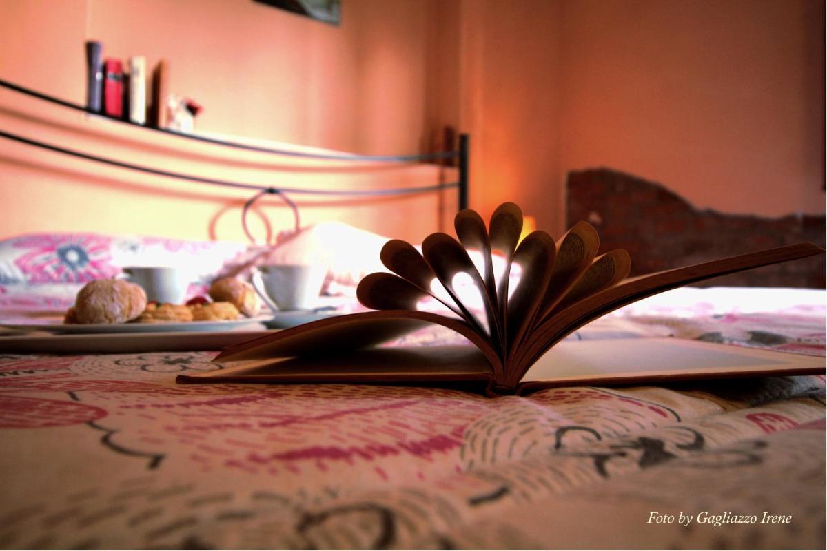 B&B Le Palme d'Oro - Housity