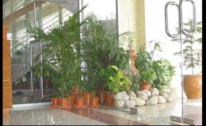 Coral Reef Cox's Bazar - Housity