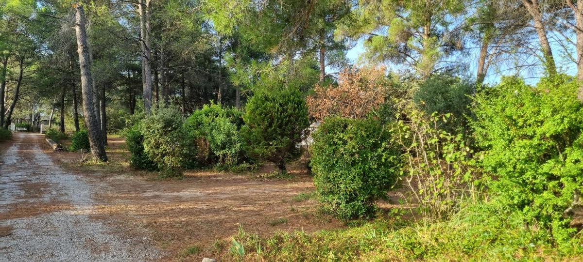 Chambre d'hôte BB proche d'Aix en Provence - Housity