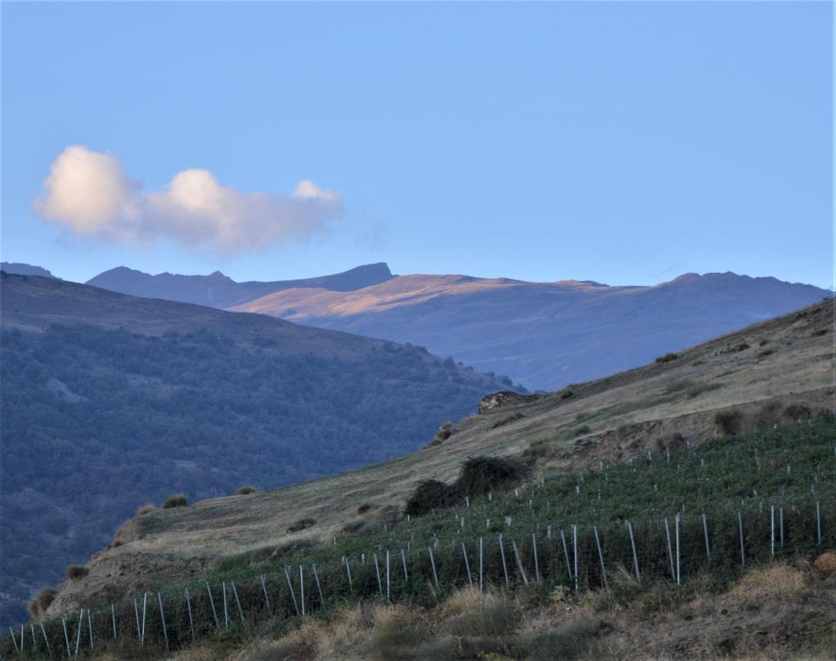 Hotel Rural Alfajía de Antonio - Housity