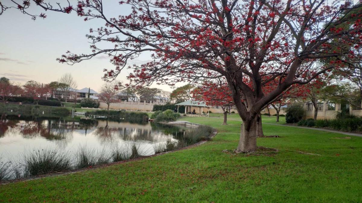 Suitetrails - Lovely large studio in canning vale