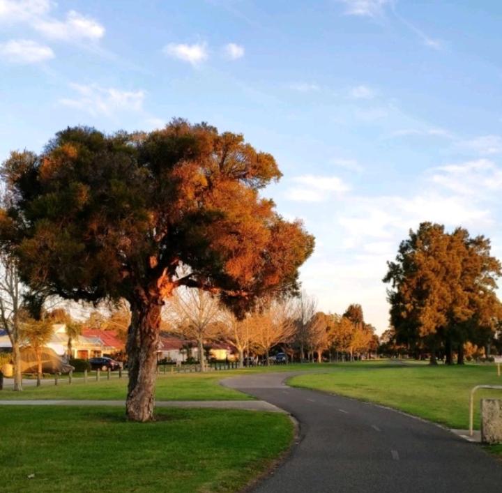 Suitetrails - Lovely large studio in canning vale