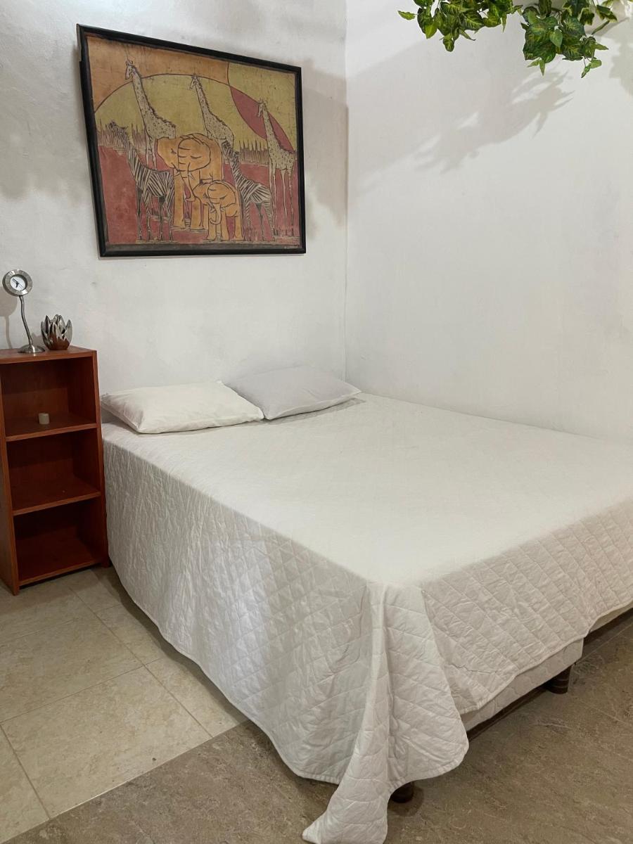 Suitetrails - Habitación Matrimonial la Naturaleza