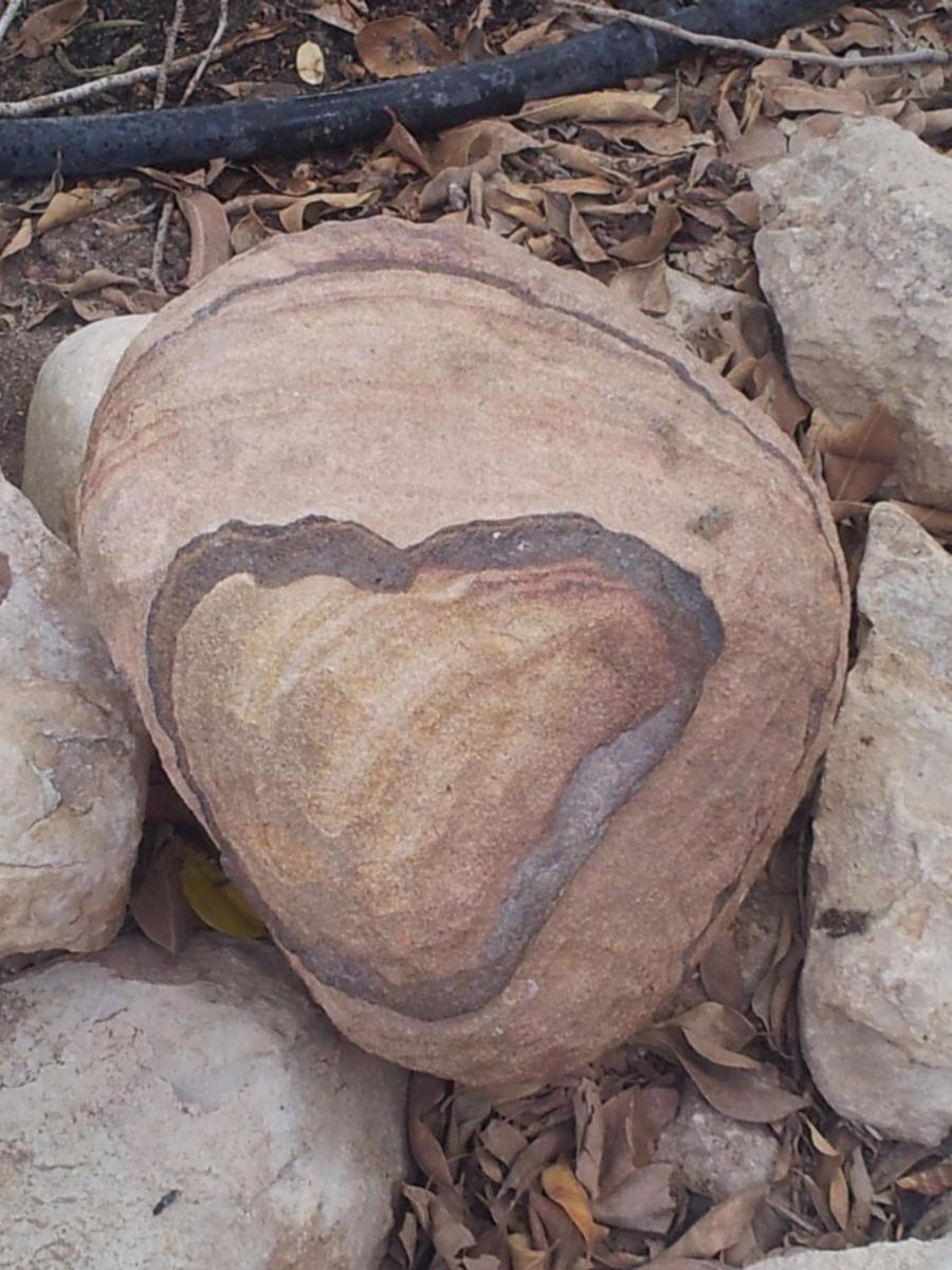 ערבה גארדן Arava Garden - Housity