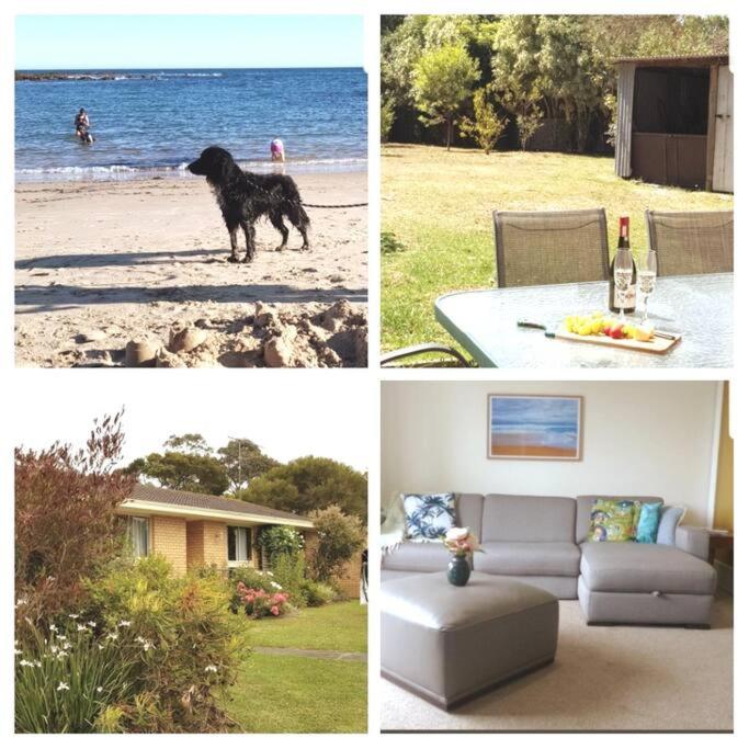 Garden Cottage, Dog Friendly. Wonthaggi. - Housity