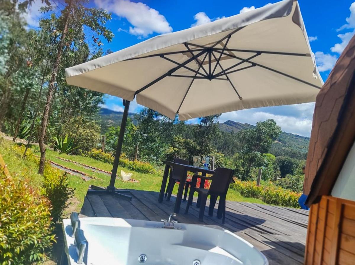 Hotel torogua - Housity