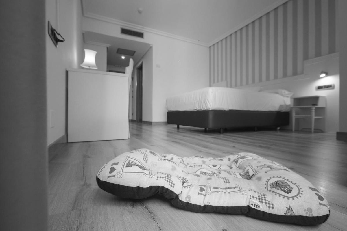 Imagen de la galería de Hotel Alfonso I, en Tui