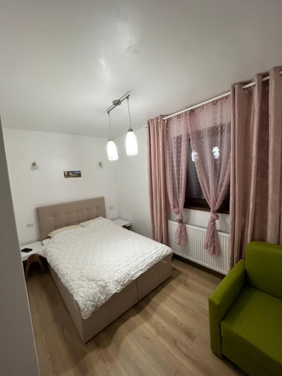 Pensiunea Sarah - Muntele Mic - Housity