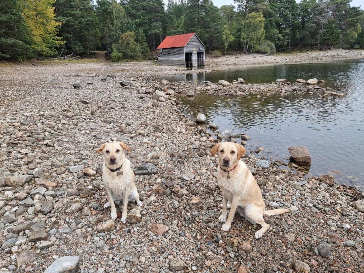 The Shelter Stone Cottage - Housity