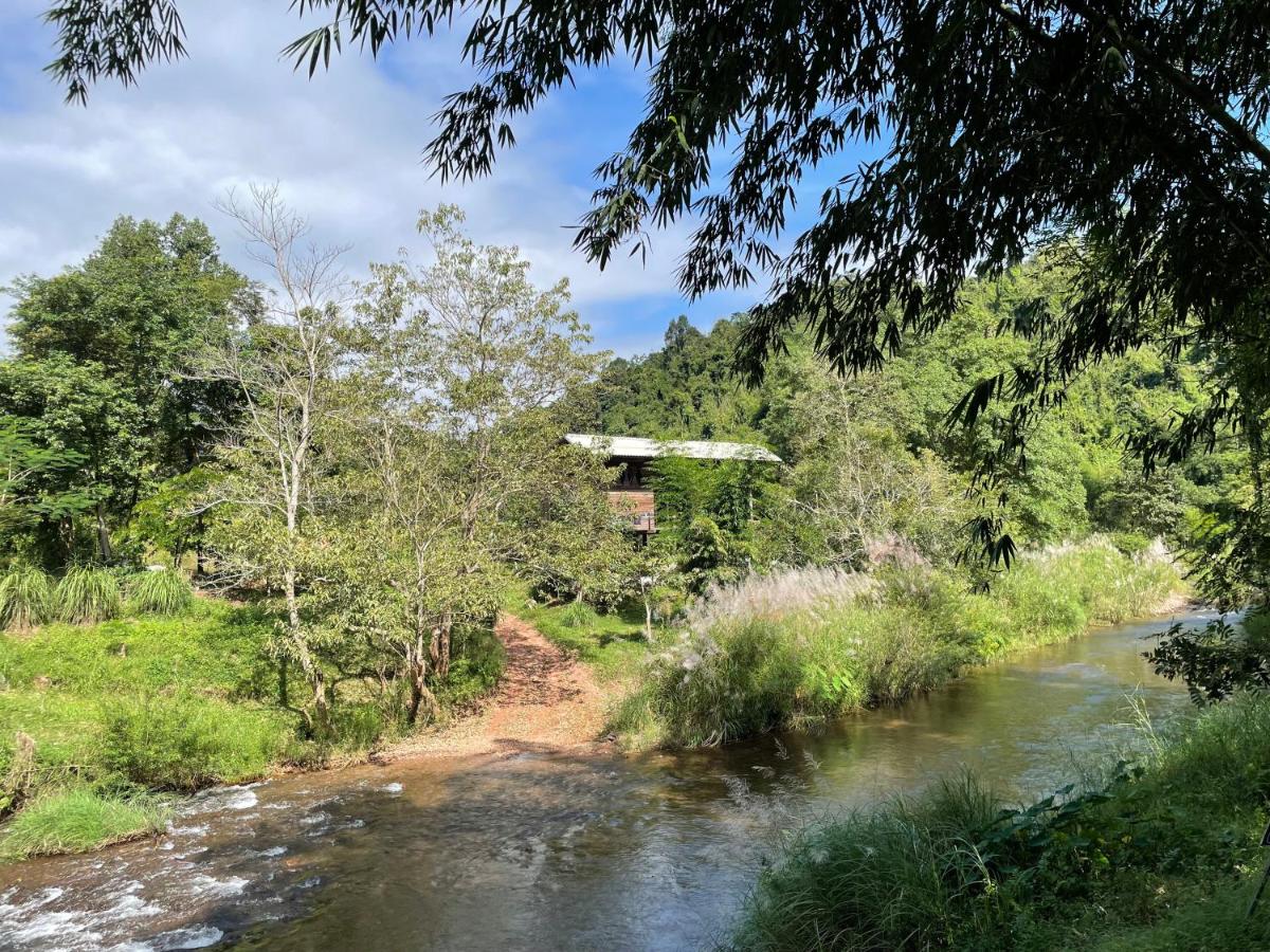 Forest Forest Farm & Stay - Nan - Housity