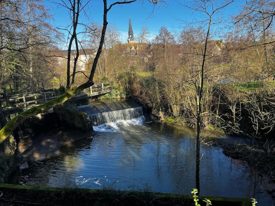 Cascade au fond du jardin - Housity