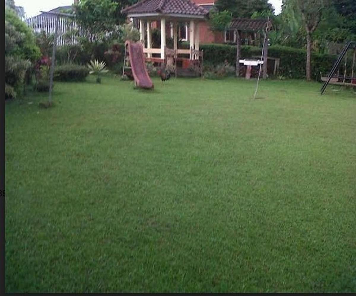 Villa disewakan di coolibah puncak - Housity