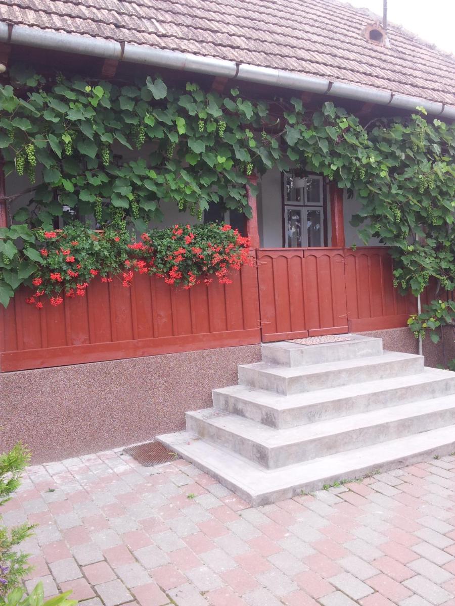 Căsuţa Andrey & Dan - Housity