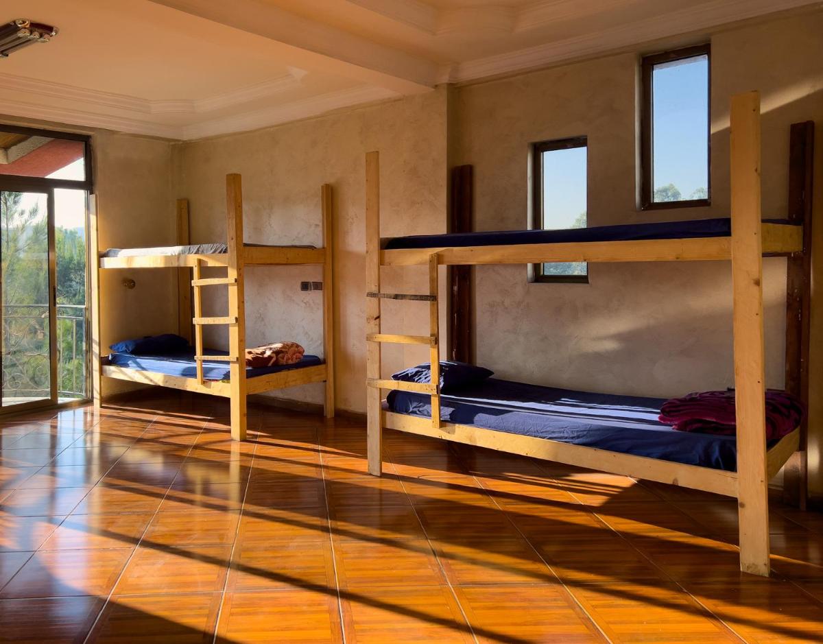 Mad Vervet Backpackers Hostel - Housity