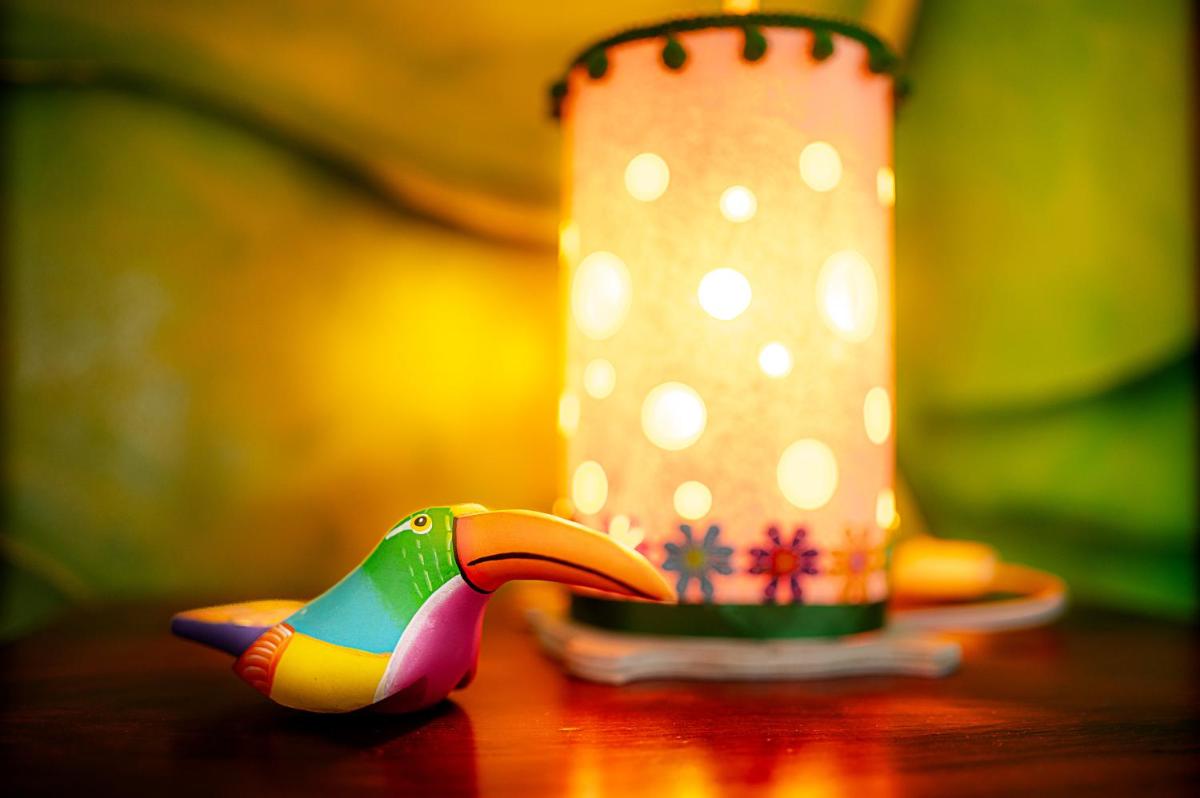 Hotel Little Paradise - Housity