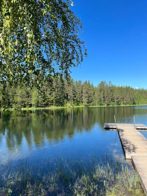 Skogly - Ny stor hytte, Unike Finnskogen - Housity