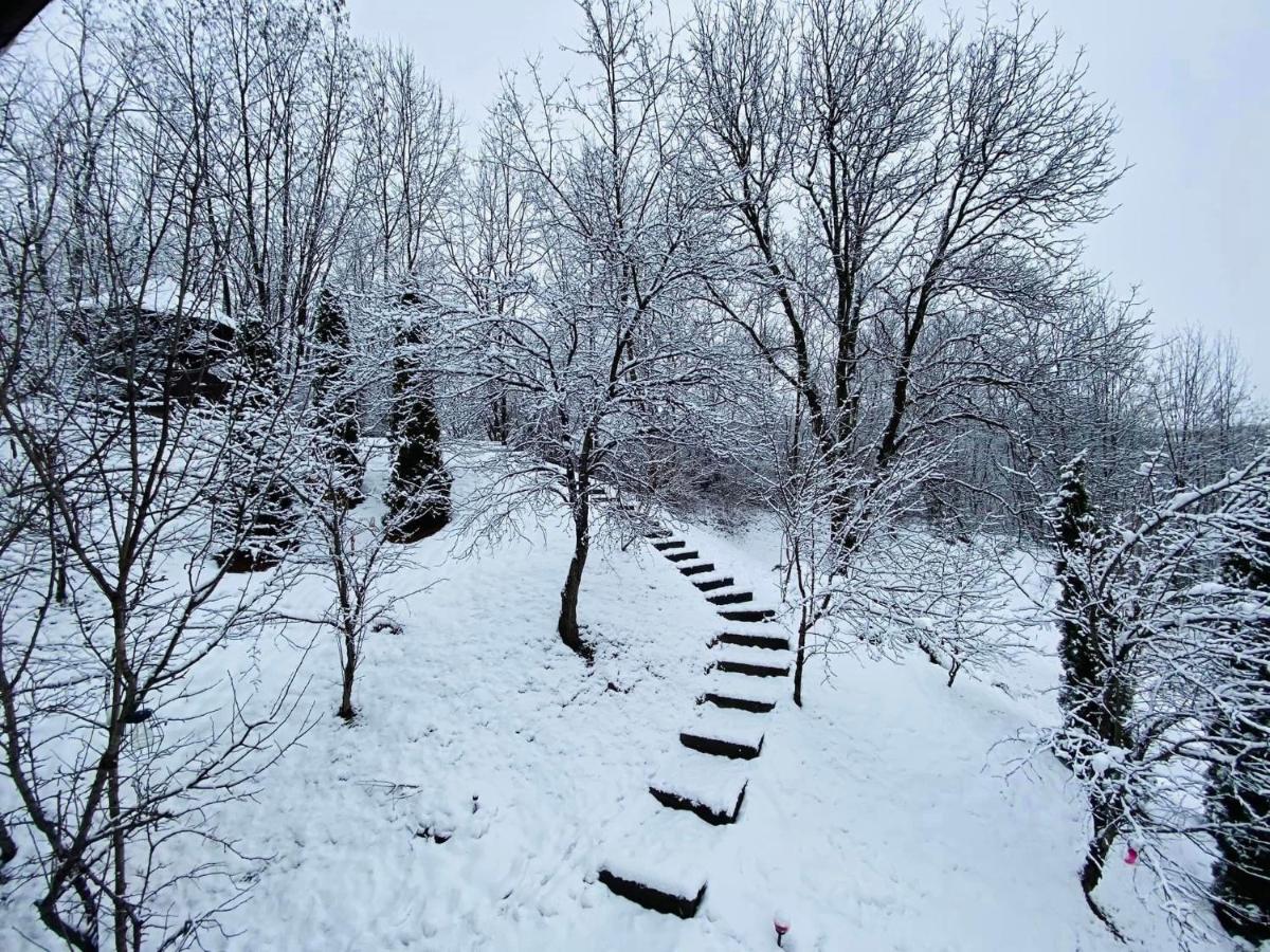 VILA GIGI, ideala pentru relaxare si distractie! - Housity