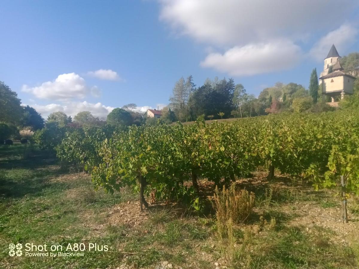 La villa - Housity