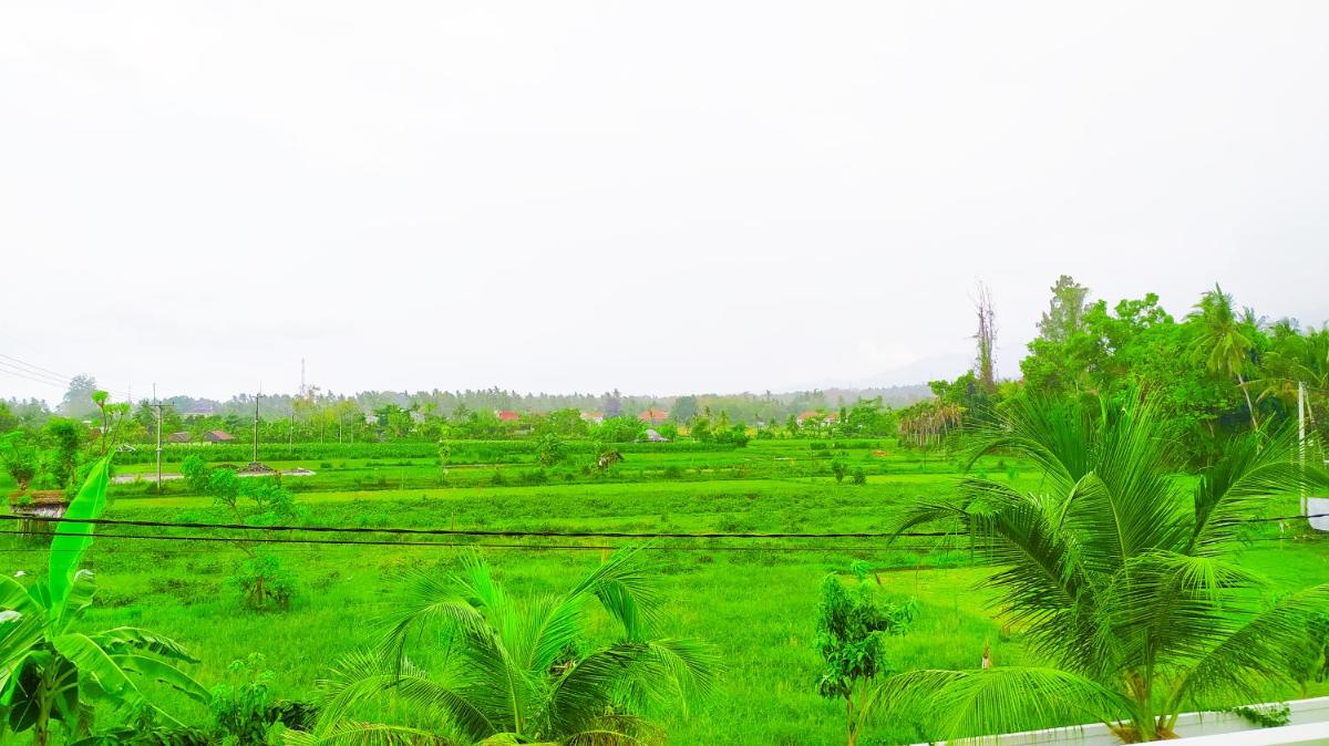 Puri Lovina - Housity