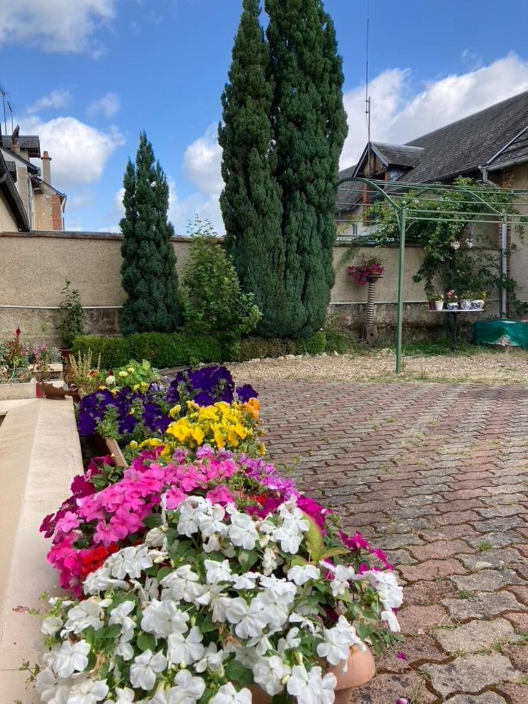 Villa Capucine - Housity