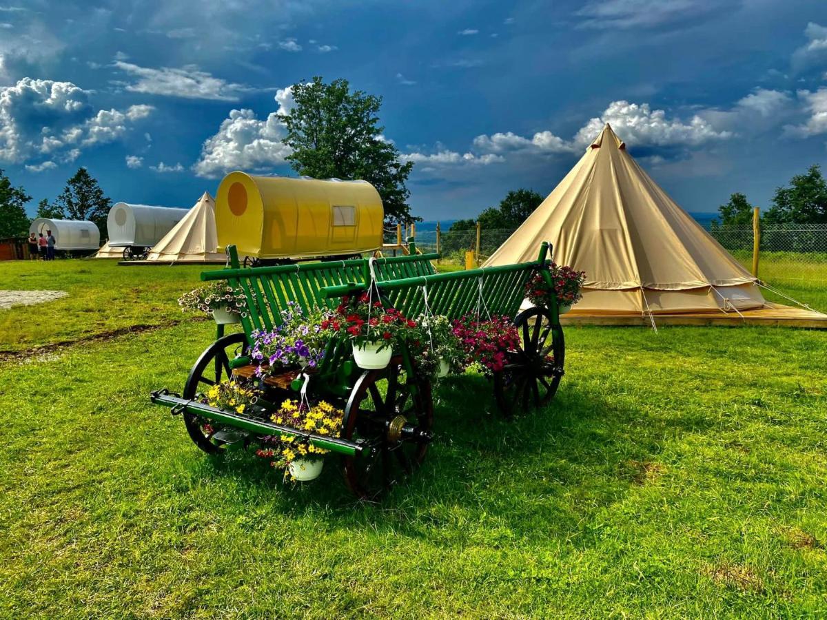 Carul cu Stele-Glamping - Housity