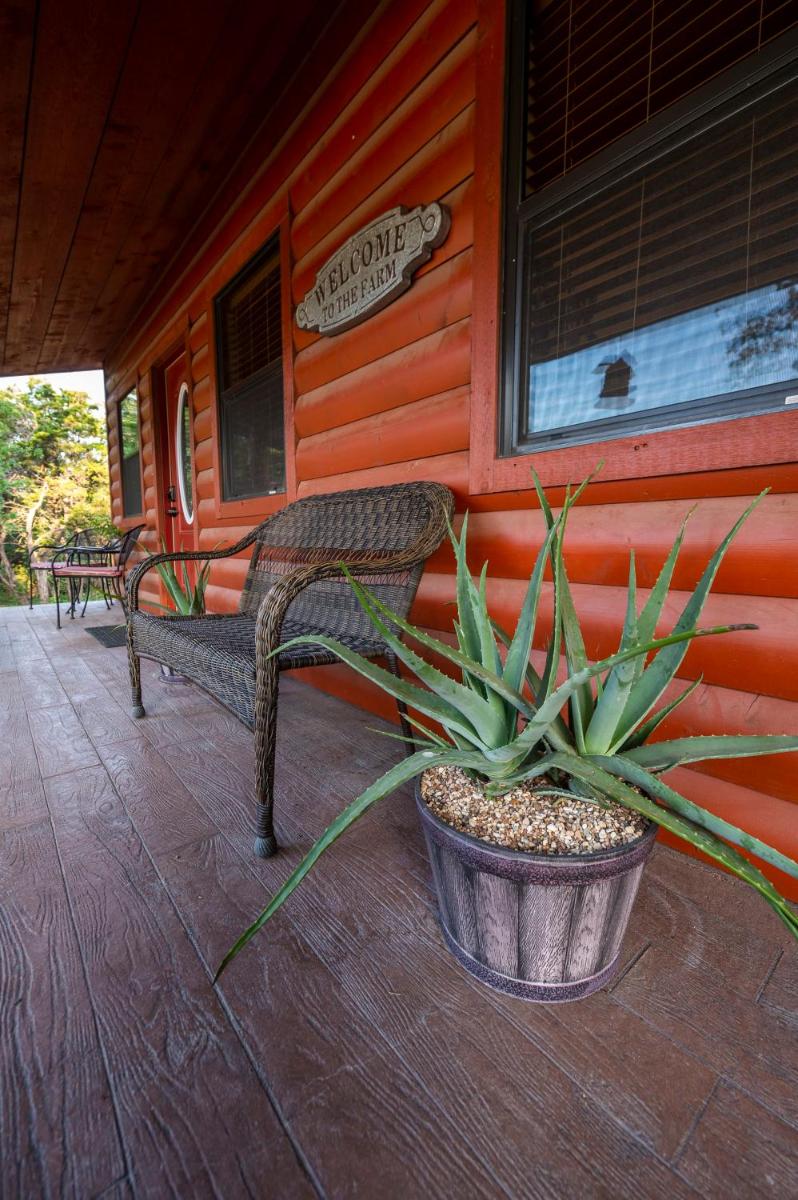 Cabin 1 Rental 15 minutes from Magnolia and Baylor - Housity