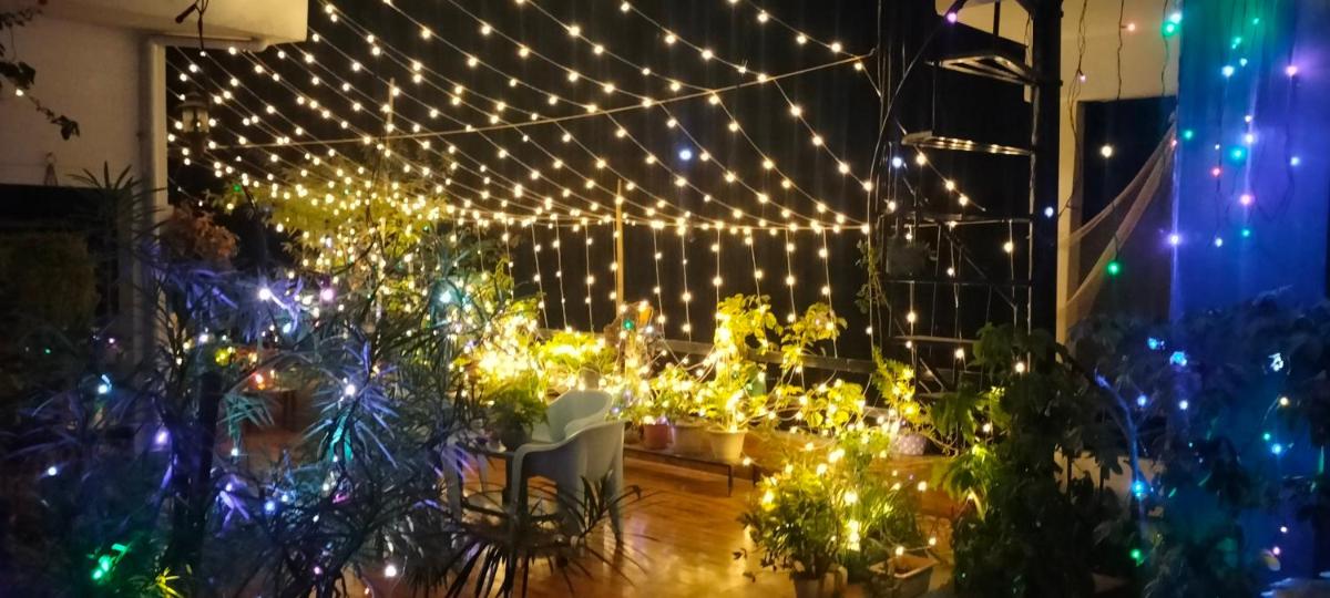 Terrace Cottage Garden Homestay at Guwahati - Housity