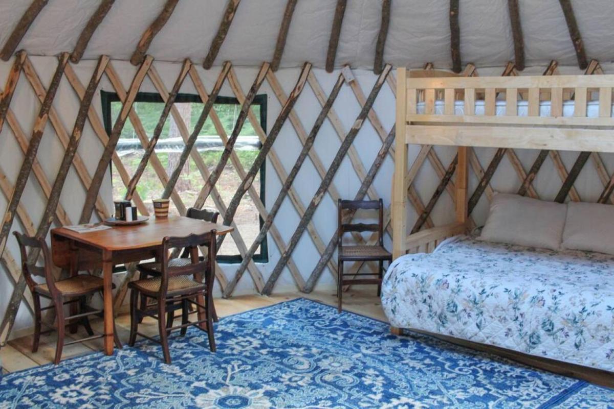 Allie Mae Yurt nestled in the woods - Housity