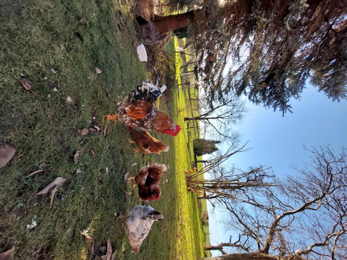 NEU! Ferienwohnung Böhlitz Neun - Housity