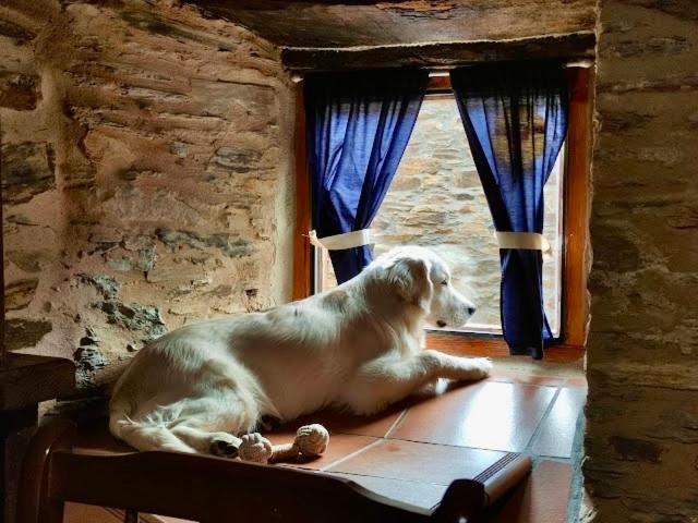 CASA RURAL BIERZO ENCANTADO - Housity